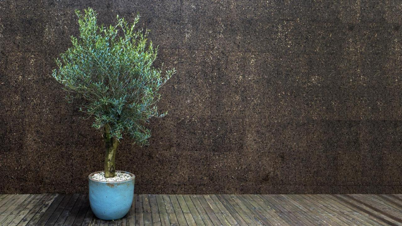 Ocean Porto - Beach House 马托西纽什 外观 照片